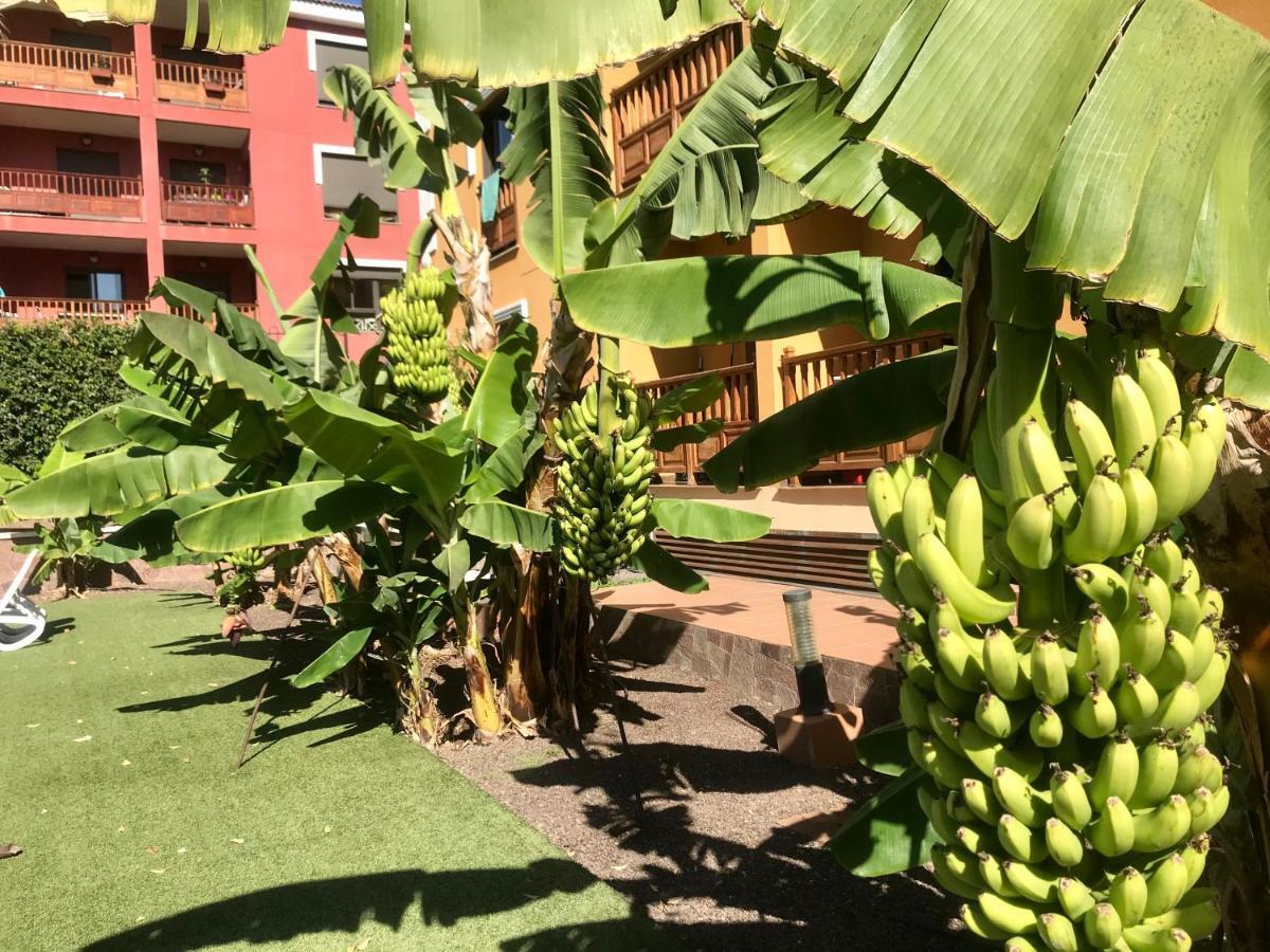 El Mocan Luxury Apartment Palm-mar Eksteriør bilde
